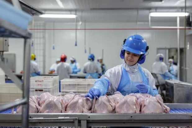 من داخل أحد مصانع «بي آر إف» (موقع الشركة)