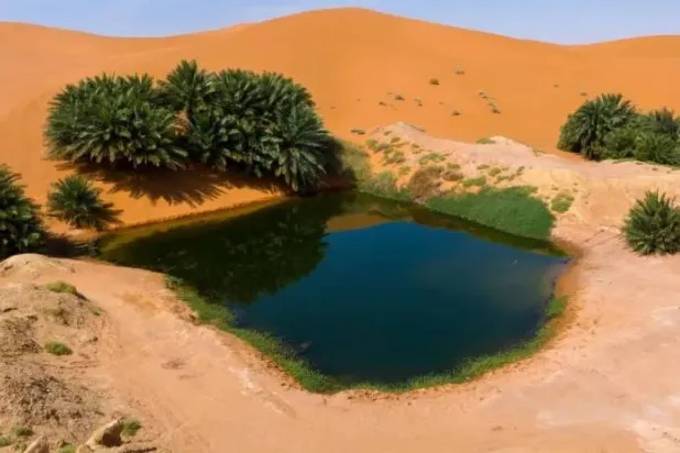 
 
پارکی در شمال ریاض (واس)