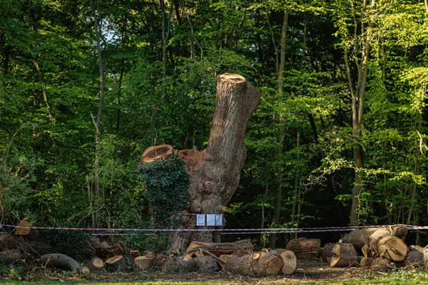 ألمُ المصير (غيتي)