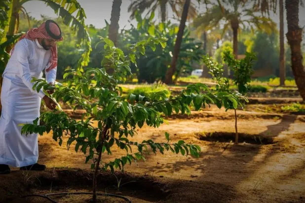 مواطنون يساهمون في تعزيز حماية الموارد الطبيعية (واس)