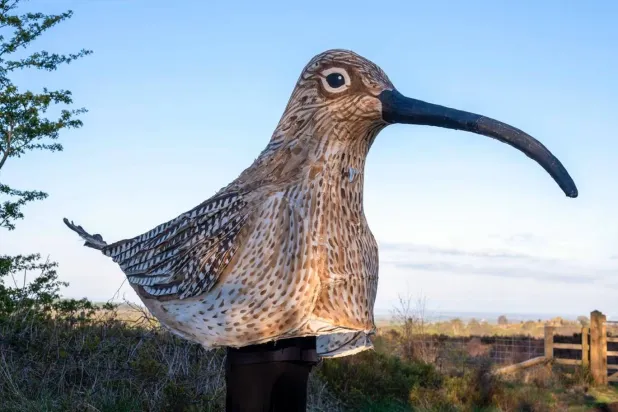 أخذ مهنته إلى آفاق جديدة (تصوير: تيسا بوني)