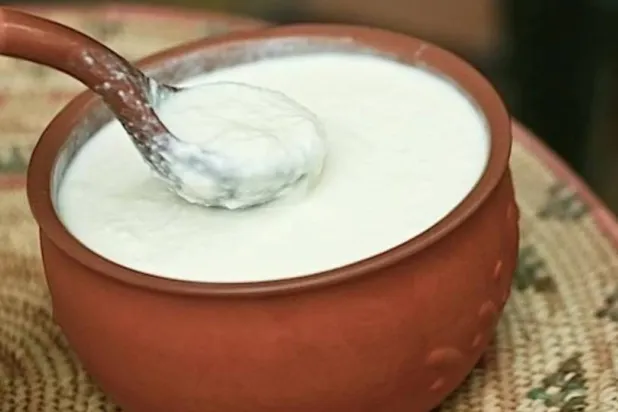 توجد البروبيوتيك في الزبادي اليوناني والعادي (رويترز)