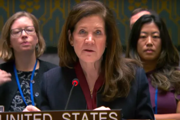 المندوبة الأميركية لدى مجلس الأمن دوروثي شيا (لقطة من فيديو)