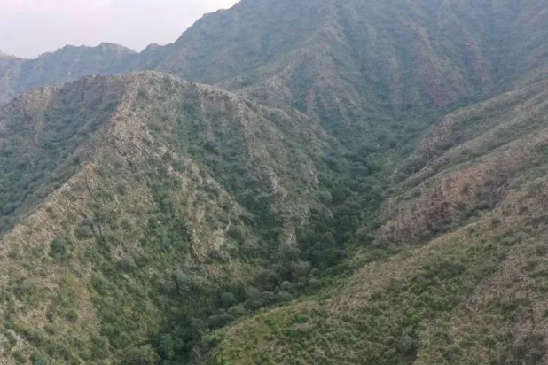 أكثر من 975 هكتاراً من مدرجات زراعية في الجنوب الغربي للبلاد مؤهّلة ومجهزة بتقنيات حصر مياه الأمطار (الشرق الأوسط)