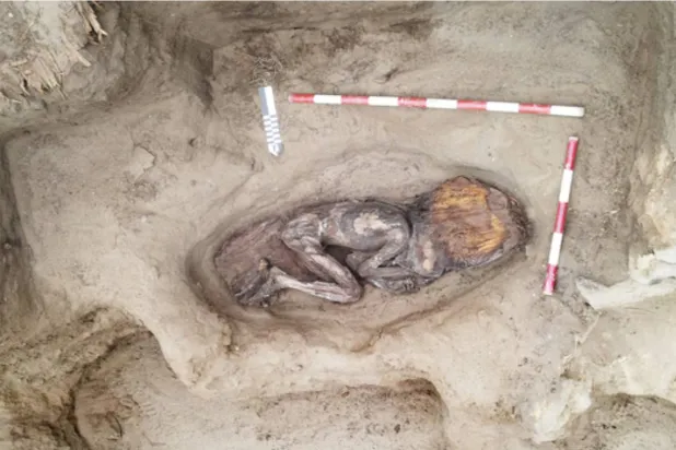 عمرها آلاف السنوات (وزارة الثقافة في بيرو)