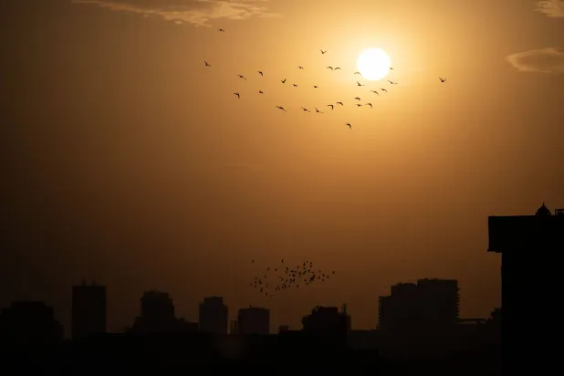 مصر تعلق الدراسة غداً نظراً لسوء الأحوال الجوية المتوقعة