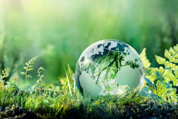 Geri dönüşüm üzerine çizimlerde görülen sürdürülebilir çatı bahçesi (Reuters)