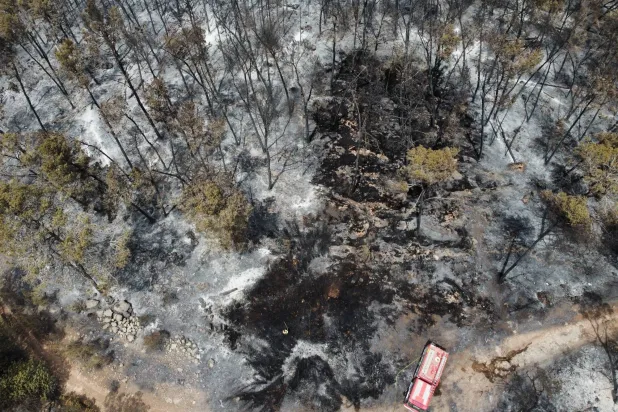 جانب من حريقٍ اندلع في منطقة اللطرون بوسط إسرائيل بين القدس وتل أبيب في 1 مايو 2025 (إ.ب.أ) 