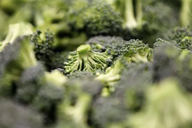 البروكلي يحتوي على مادة مضادة للأكسدة مهمة للجسم (رويترز)