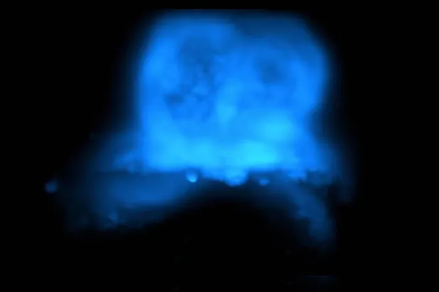 تكنولوجيا قد توفّر رؤى جديدة حول عيوب القلب الخلقية (جامعة كلية لندن)