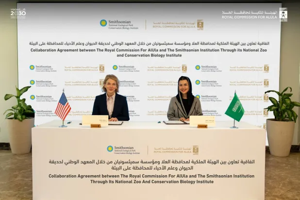  جانب من توقيع الهيئة الملكية لمحافظة العلا وصندوق النمر العربي مع مؤسسة «سميثسونيان» (الشرق الأوسط)