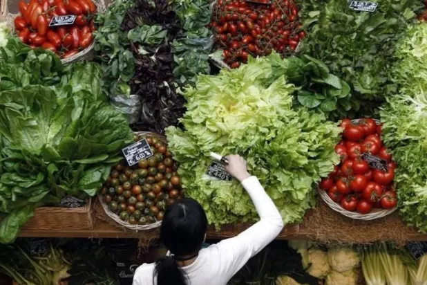 أظهرت دراسة كلية الطب بجامعة هارفارد الأميركية أن زيادة الاستهلاك اليومي للألياف - من الفواكه والخضروات والحبوب الكاملة - إلى نحو 25 - 29 غراماً تقلل مخاطر الوفاة بأمراض القلب والسكتة الدماغية والسرطان والسكري بنسبة تتراوح بين 16 و24 % (رويترز)