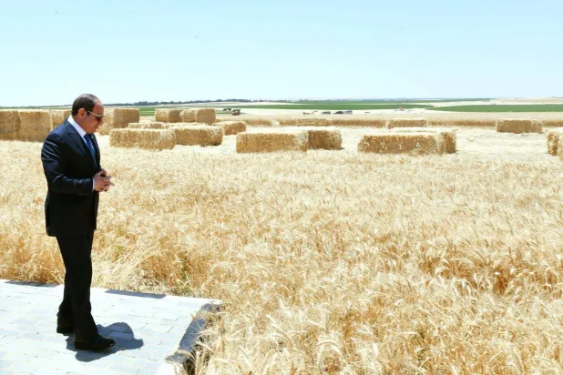 الرئيس المصري يشهد فعاليات موسم حصاد القمح (الرئاسة المصرية)