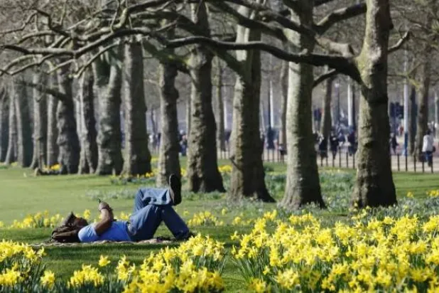 التعرض لأشعة الشمس يعزز جهاز المناعة (رويترز)