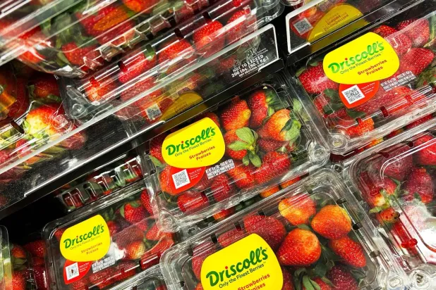 Yeni bir çalışma, erkeklerin yaşlanmayı yavaşlatmak için yiyebileceği 6 gıdayı ortaya çıkardı ve bunların hepsi bitkisel (Jim Watson/AFP)