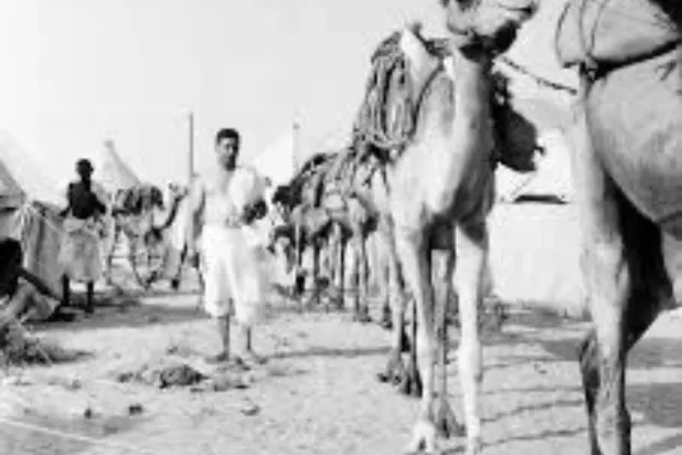 الحجاج المشاة في الدولة السعودية… تاريخ من الرعاية والتنظيم