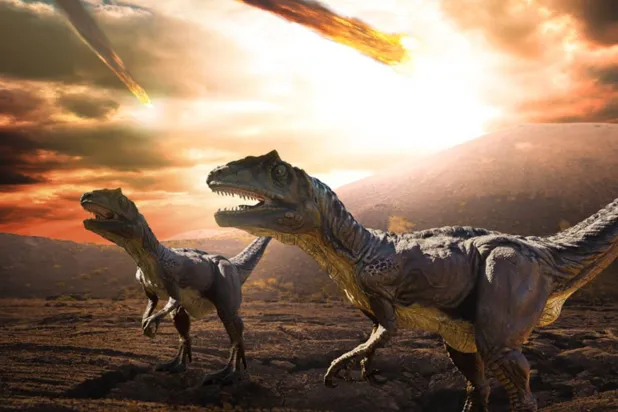 يعتقد العلماء أن أحافير الديناصورات قد تؤثر على علاجات السرطان (غيتي)