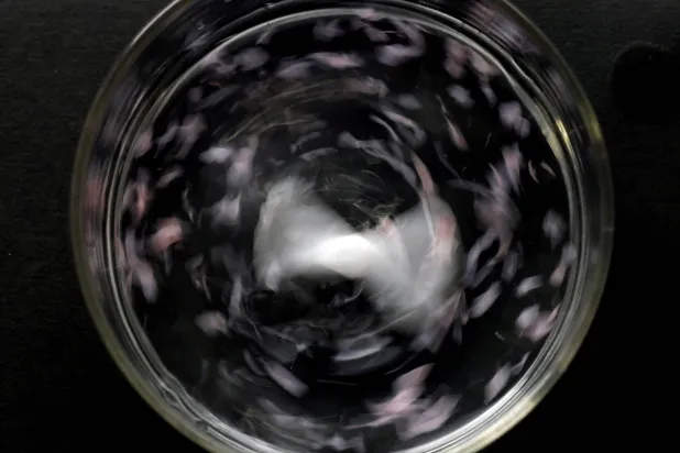 وداعاً للنفايات العائمة (رويترز)