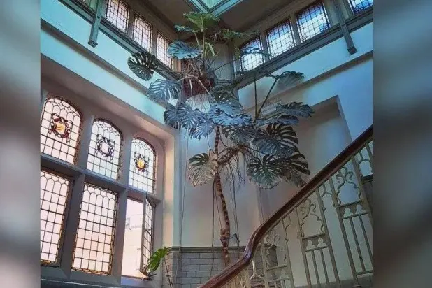 «أودري» تغادر مكانها الأول بعد عقود (مجلس مدينة ليدز)