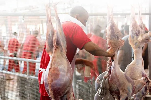 تنفيذ النسك وفق أعلى المعايير الشرعية والصحية (أضاحي)