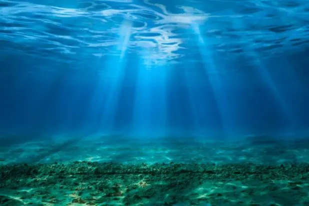 مستويات أسوأ من الحموضة في أعماق المحيط (غيتي)