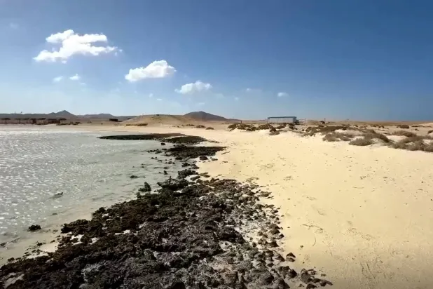 جزء من ساحل البحر الأحمر غير المؤهل للسياحة (رويترز)