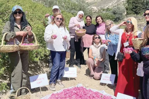 مجموعات من لبنان وخارجه تقصد قصرنبا للمشاركة بقطاف الورد ( إنستغرام)