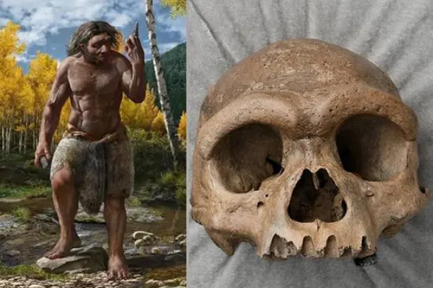 العلم ينتصر على الغموض (متحف التاريخ الطبيعي)