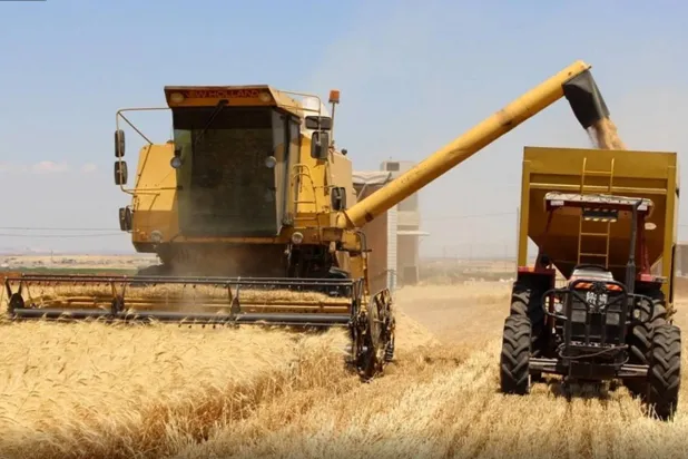 حصّادة زراعية خلال عملية حصاد موسم القمح والشعير لهذا العام في مناطق الجزيرة السورية (الشرق الأوسط)