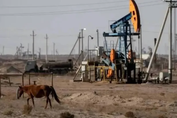 حصان يرعى بالقرب من منصة حفر نفطية في كازاخستان (رويترز)