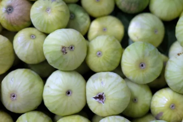 للتين فوائد صحية عديدة (أ.ف.ب)