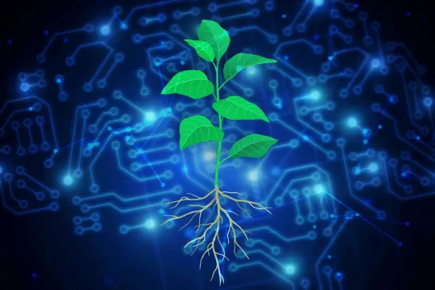 تقنيات الذكاء الاصطناعي يمكن أن تسهم في تحقيق فهم أعمق لبيولوجيا النبات (معهد سالك في الولايات المتحدة)