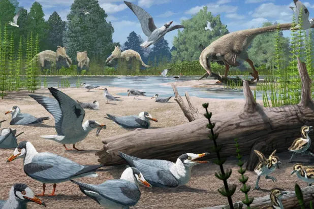 Araştırmacılar 73 milyon yıl önceki Prince Creek ekosisteminin, yaz mevsiminde yaklaşık 6 ay boyunca kesintisiz gün ışığına maruz kaldığını düşünüyor (Gabriel Ugueto)