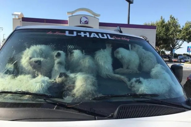 (مكتب عمدة مقاطعة ميرسيد-فيسبوك)