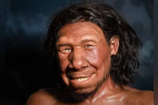 تحايل بالدهون المغليّة على عصور الجليد القاسية (غيتي)