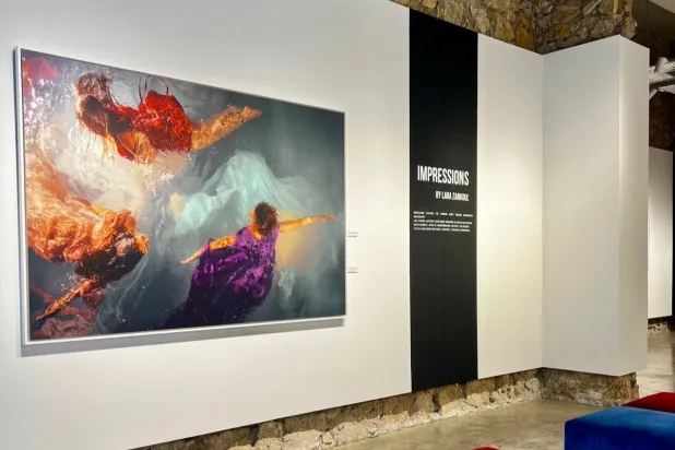 «انطباعات» يدمج ما بين فني التصوير الفوتوغرافي وعصر النهضة (الشرق الأوسط)