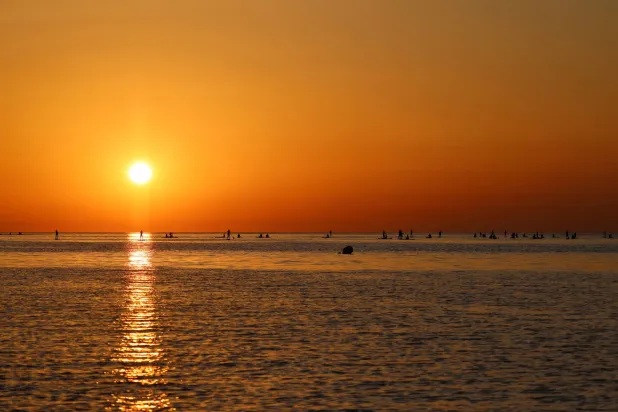 سياح وسكان محليون يمارسون رياضة التجذيف عند شروق الشمس على البحر الأبيض المتوسط ​​في برشلونة بإسبانيا (رويترز)
