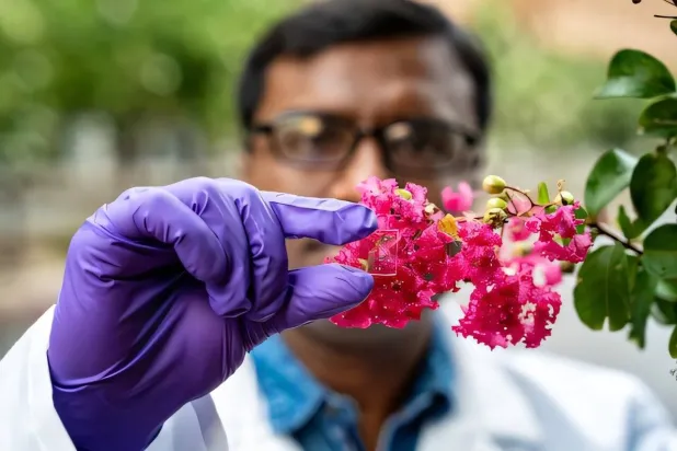 الطلاء الجديد يعتمد على طبقة شفافة وصلبة ومقاومة لعوامل الطقس (جامعة رايس)