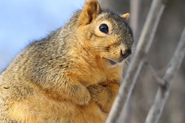 يكفي قرن من العمران لإحداث التغيُّر الهائل (غيتي)