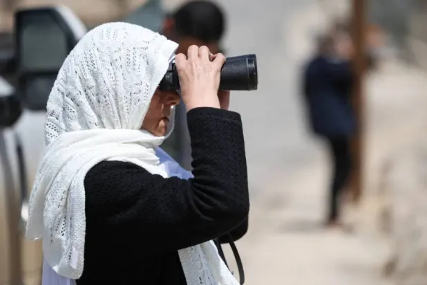 Druze woman from Israeli-Occupied Golan gazes toward Syria (Reuters)