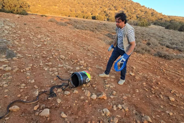 إطلاق 72 أفعى في محمية ليبية يثير مخاوف وتساؤلات