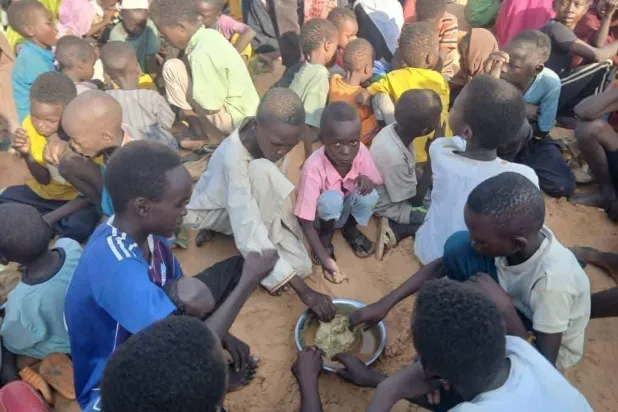 السودان: مواطنون يأكلون أعلاف الحيوانات للبقاء على قيد الحياة في الفاشر