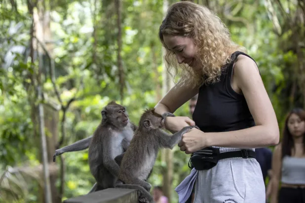 تُتقن السرقة وتطلب الفدية (غيتي)