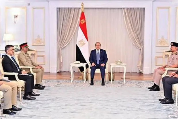 القاهرة وإسلام آباد لتعزيز التعاون العسكري والأمني