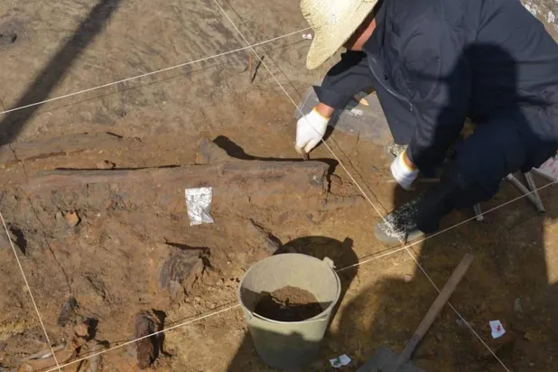 (Liu ve ekip arkadaşları/Science)