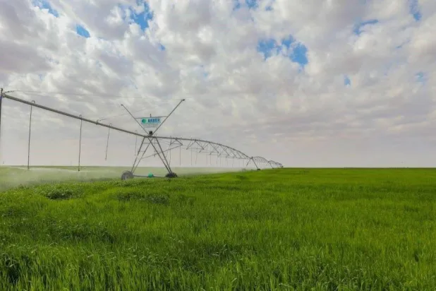 إحدى المزارع العراقية (وكالة الأنباء العراقية)