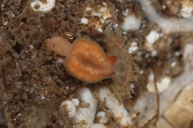 يعود إلى الحياة بعدما طواه النسيان (إنستغرام)