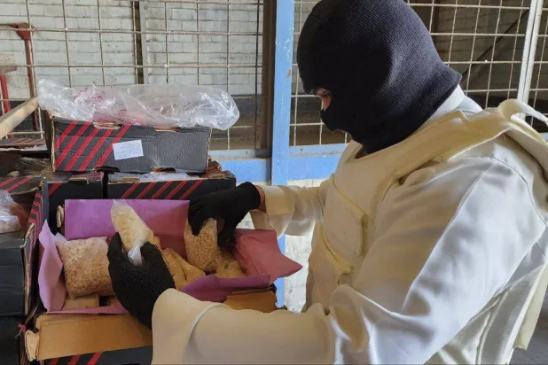 مصدر أمني: اعتقال أخطر تجار المخدرات في سوريا والمنطقة بالتنسيق مع تركيا