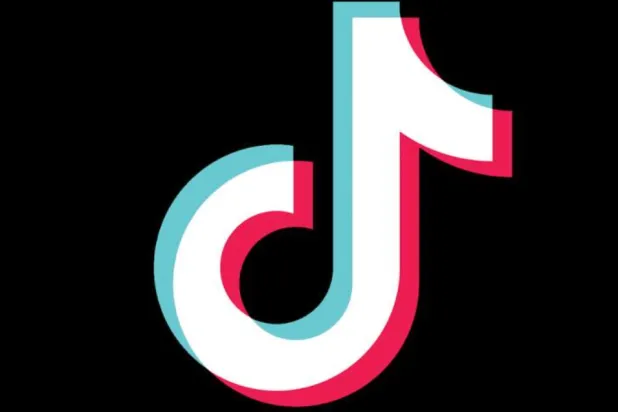 منصة «تيك توك» تثير جدلاً في مصر (حساب المنصة)