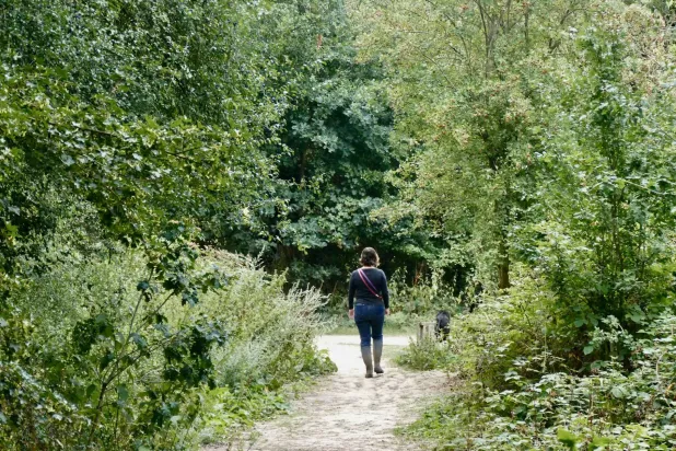 حين تبهت الطبيعة... يبهت الإنسان (شاترستوك)